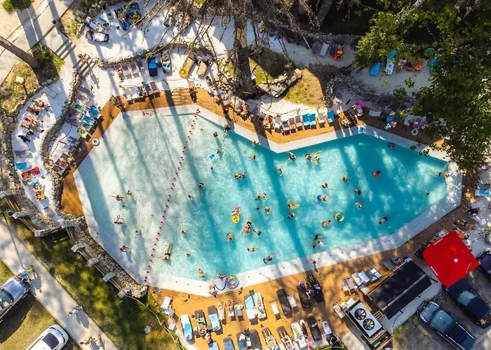 Dzika Roza シクラルスカ・ポレンバ