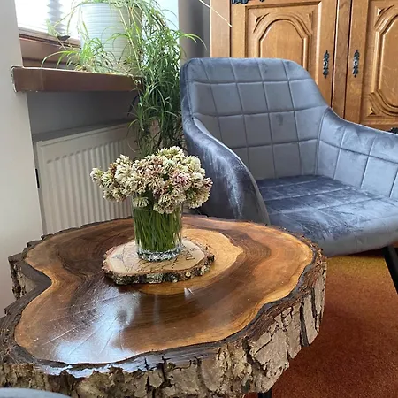 Dzika Roza Accommodatie bij particulieren Szklarska Poręba