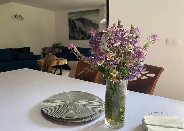 Accommodatie bij particulieren Dzika Roza *